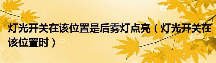 灯光开关在该位置是后雾灯点亮（灯光开关在该位置时）