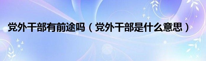 党外干部有前途吗（党外干部是什么意思）