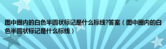 图中圈内的白色半圆状标记是什么标线?答案（图中圈内的白色半圆状标记是什么标线）