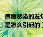 病毒感染的发烧是什么引起的（病毒感染发烧是怎么引起的）