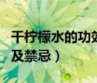 干柠檬水的功效与禁忌（柠檬水的功效与作用及禁忌）