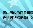 图中圈内的白色半圆状标记是什么标线?答案（图中圈内的白色半圆状标记是什么标线）