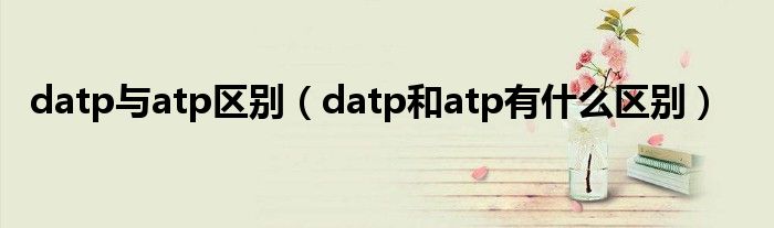 datp与atp区别（datp和atp有什么区别）