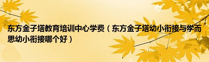 东方金子塔教育培训中心学费（东方金子塔幼小衔接与学而思幼小衔接哪个好）