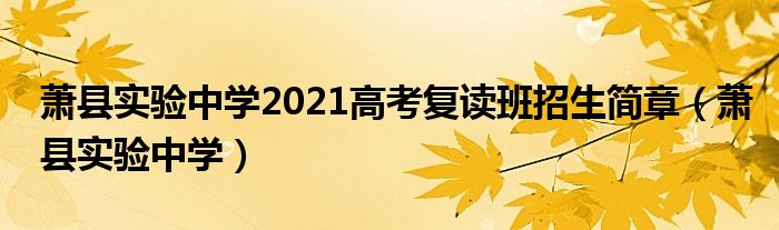 萧县实验中学2021高考复读班招生简章（萧县实验中学）