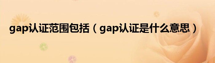 gap认证范围包括（gap认证是什么意思）