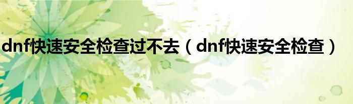 dnf快速安全检查过不去（dnf快速安全检查）