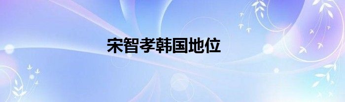 宋智孝韩国地位