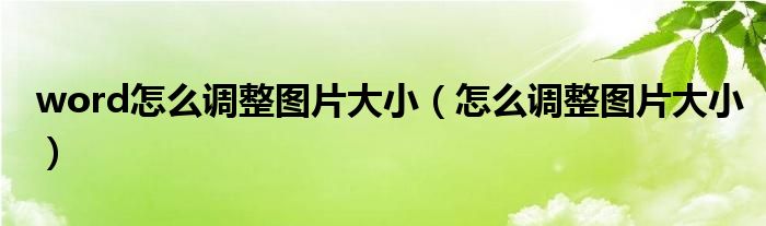 word怎么调整图片大小（怎么调整图片大小）