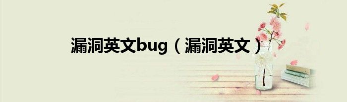 漏洞英文bug（漏洞英文）