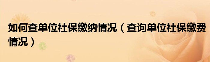 如何查单位社保缴纳情况（查询单位社保缴费情况）