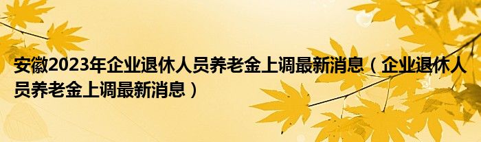 安徽2023年企业退休人员养老金上调最新消息（企业退休人员养老金上调最新消息）