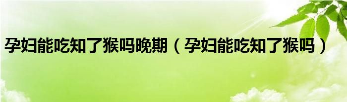 孕妇能吃知了猴吗晚期（孕妇能吃知了猴吗）