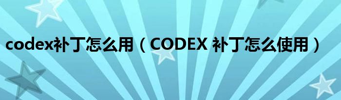 codex补丁怎么用（CODEX 补丁怎么使用）