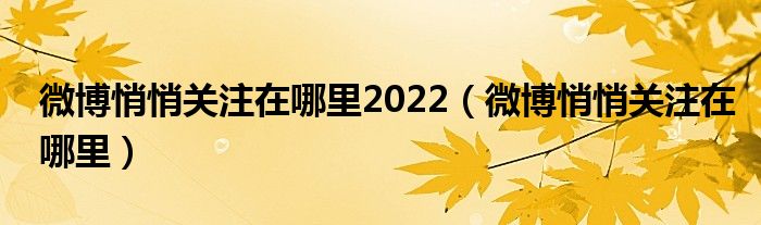 微博悄悄关注在哪里2022（微博悄悄关注在哪里）