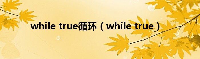 while true循环（while true）