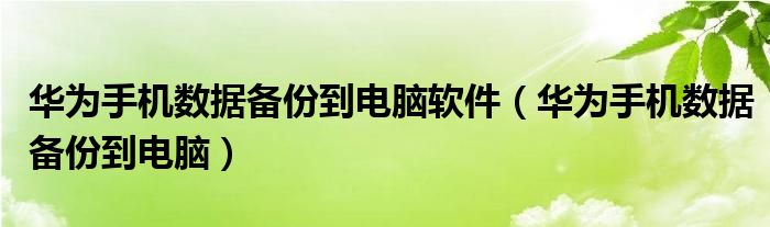 华为手机数据备份到电脑软件（华为手机数据备份到电脑）