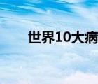 世界10大病毒（世界10大传奇帝王）