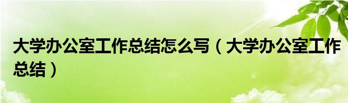 大学办公室工作总结怎么写（大学办公室工作总结）