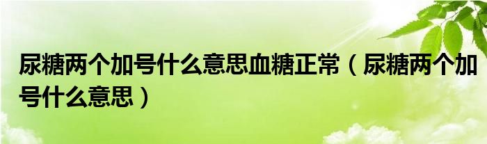 尿糖两个加号什么意思血糖正常（尿糖两个加号什么意思）