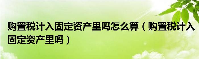 购置税计入固定资产里吗怎么算（购置税计入固定资产里吗）