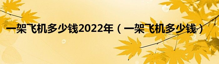 一架飞机多少钱2022年（一架飞机多少钱）