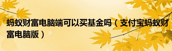 蚂蚁财富电脑端可以买基金吗（支付宝蚂蚁财富电脑版）