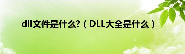 dll文件是什么?（DLL大全是什么）