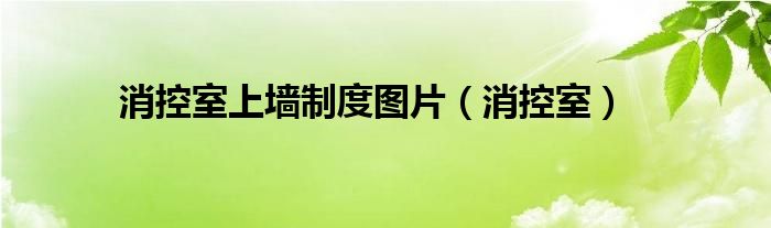 消控室上墙制度图片（消控室）