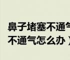 鼻子堵塞不通气怎么办有什么办法（鼻子堵塞不通气怎么办）