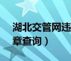 湖北交管网违章查询官网（12313交管网违章查询）