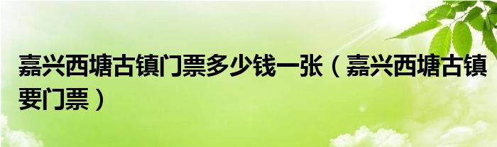 嘉兴西塘古镇门票多少钱一张（嘉兴西塘古镇要门票）