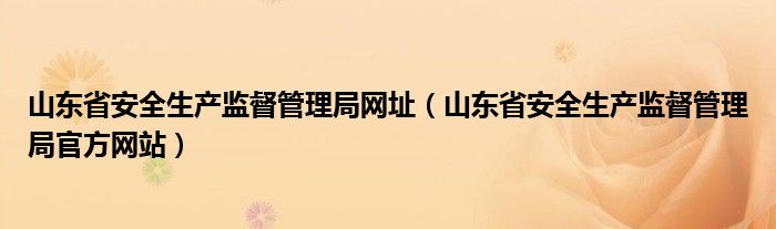 山东省安全生产监督管理局网址（山东省安全生产监督管理局官方网站）