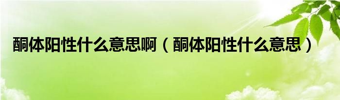 酮体阳性什么意思啊（酮体阳性什么意思）