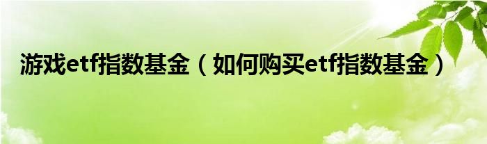 游戏etf指数基金（如何购买etf指数基金）