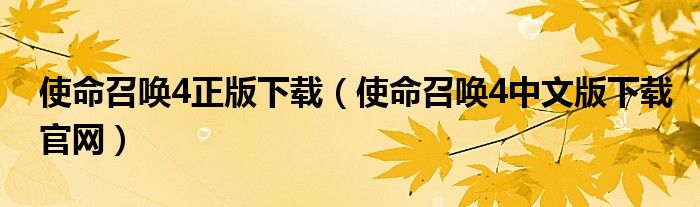 使命召唤4正版下载（使命召唤4中文版下载官网）