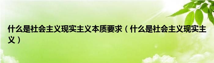 什么是社会主义现实主义本质要求（什么是社会主义现实主义）