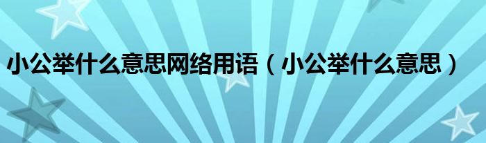 小公举什么意思网络用语（小公举什么意思）