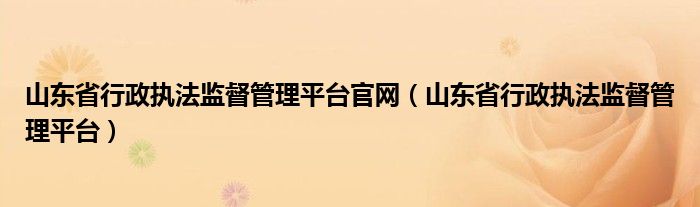 山东省行政执法监督管理平台官网（山东省行政执法监督管理平台）