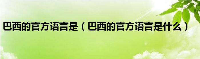 巴西的官方语言是（巴西的官方语言是什么）