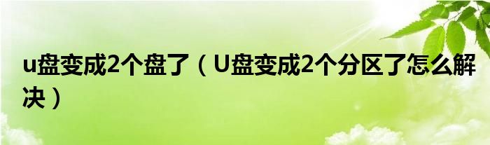 u盘变成2个盘了（U盘变成2个分区了怎么解决）