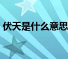 伏天是什么意思网络用语（伏天是什么意思）