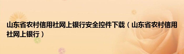 山东省农村信用社网上银行安全控件下载（山东省农村信用社网上银行）