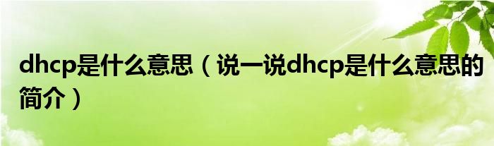 dhcp是什么意思（说一说dhcp是什么意思的简介）