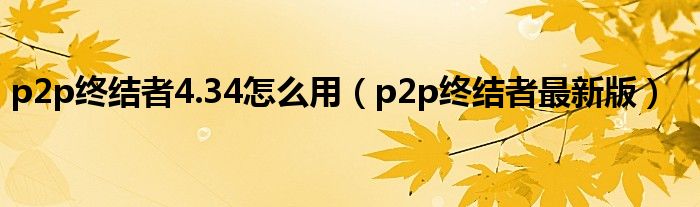 p2p终结者4.34怎么用（p2p终结者最新版）