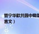 管宁华歆共园中锄菜翻译及文言文阅读答案（管宁与华歆文言文）