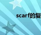 scarf的复数（scarf的复数形式）