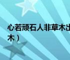 心若顽石人非草木出自（只是自以为心若顽石却终究人非草木）