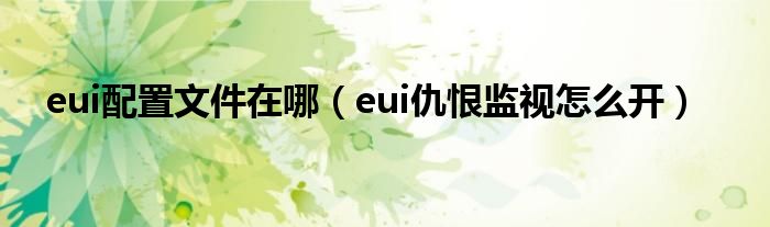 eui配置文件在哪（eui仇恨监视怎么开）