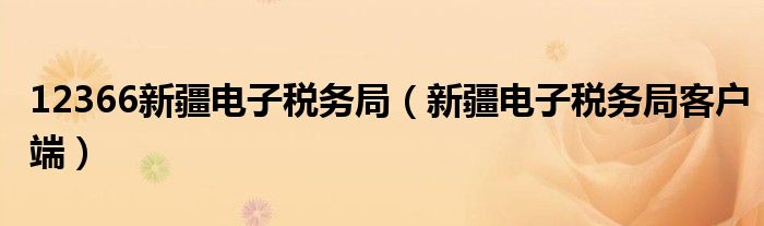 12366新疆电子税务局（新疆电子税务局客户端）